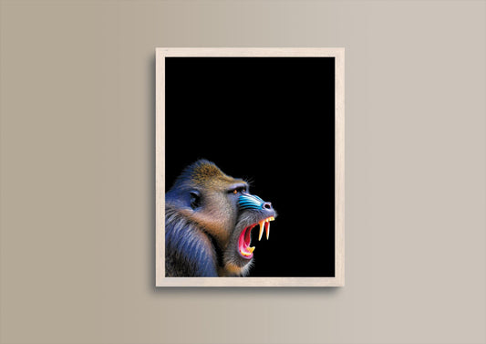 Mandrill Tier Poster Kunst, exklusiver Druck zur Wanddekoration, perfektes Geschenk für Kunstliebhaber und Tierbegeisterte